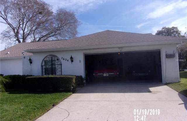 7624 SUMMERTREE LANE - 7624 Summertree Lane, New Port Richey East, FL 34653