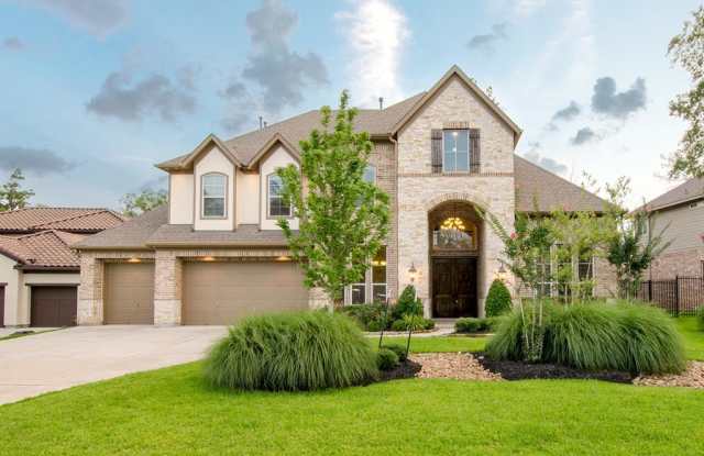 11 Freestone Stream Place - 11 Freestone Stream Place, The Woodlands, TX 77389
