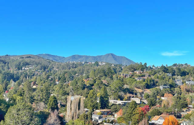 4 Bed/2 Bath House with Beautiful Mt. Tam Views - 364 Richardson Way, Tamalpais-Homestead Valley, CA 94941