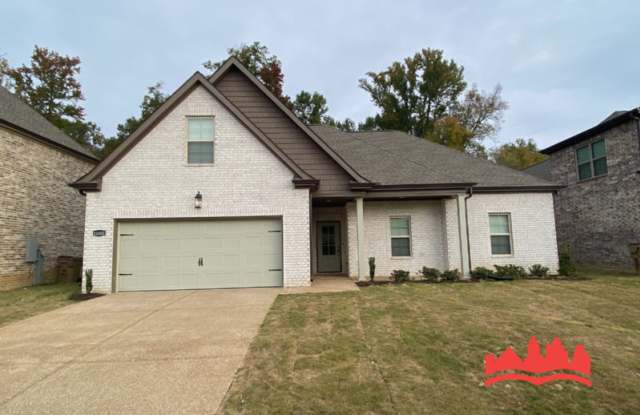 10000 Messana Cv photos photos