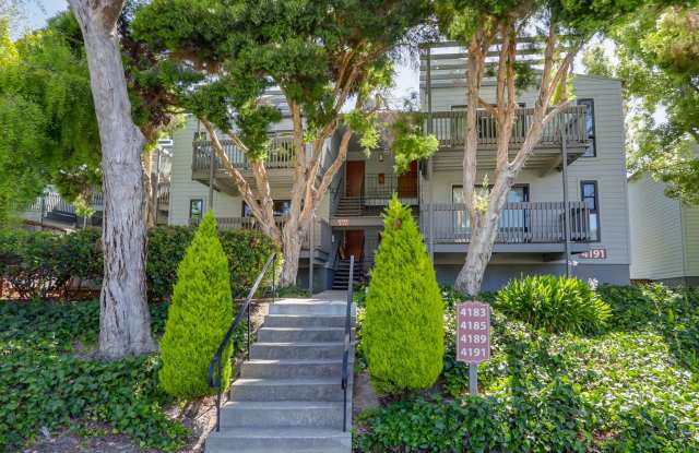 1BR/1BA Pet-Friendly Top-Floor Condo with Bonus Room & Resort-Style Amenities | San Mateo | YouTube Tour Gallery 3