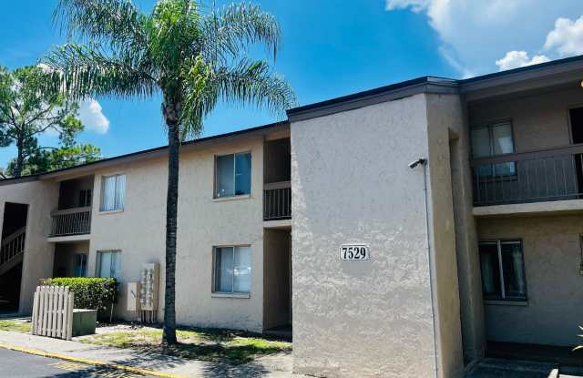 Cozy 2 Bed 1.5 Bathroom in Temple Terrace photos photos