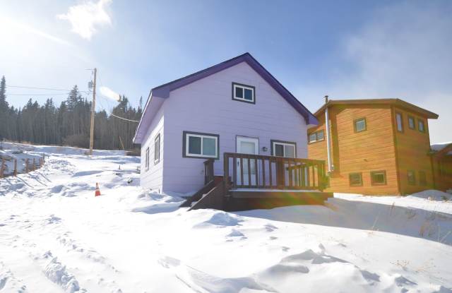 Alma Home! 20 Minutes to Breckenridge! Wood burning fireplace! Extra storage in shed! Pictures not representative of updates! photos photos