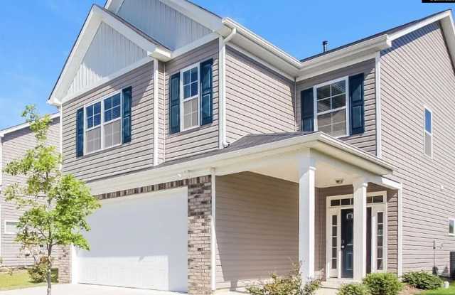 313 Nehemiah Road - 313 Nehemiah Road, Lexington County, SC 29072