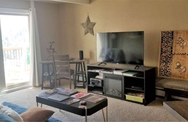 Winter Seasonal Rental- Silverqueen East 2414 Gallery 4