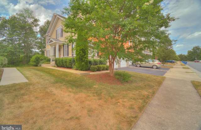23329 MOUNT MIDDLETON SQUARE Gallery 2