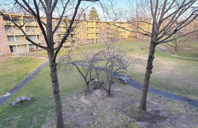 7232 Donnell Place - 7232 Donnell Place, Forestville, MD 20747