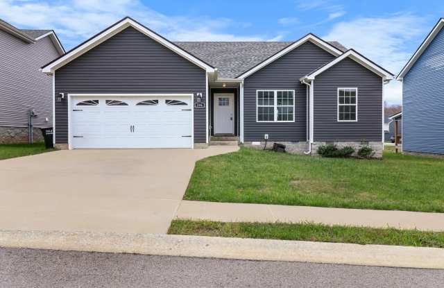 306 Lugano Lane photos photos