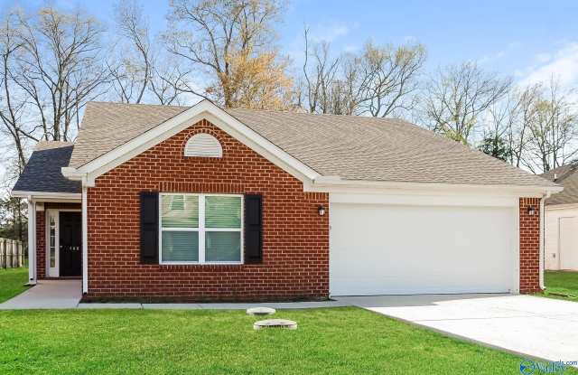 146 Carillo Lane - 146 Carillo Lane, Madison County, AL 35773