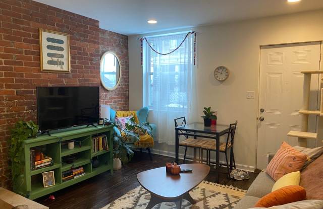 2 BEDROOM IN THE SOUTHSIDE SLOPES- Available August 6! photos photos