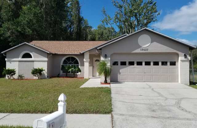 12637 Blue Pine Cir - 12637 Willow Tree Avenue, Meadow Oaks, FL 34669
