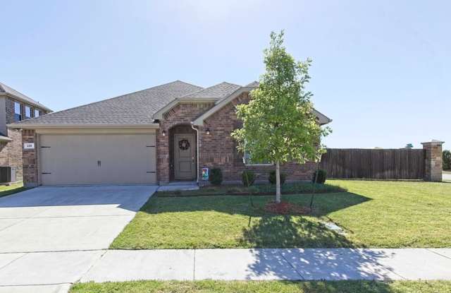 Great Anna Location - 228 Copper Switch Drive, Anna, TX 75409
