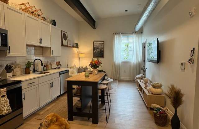 *AVAILABLE 10/10/2025* New One Bedroom w/ in unit laundry - 123 Northampton Street, Easton, PA 18042