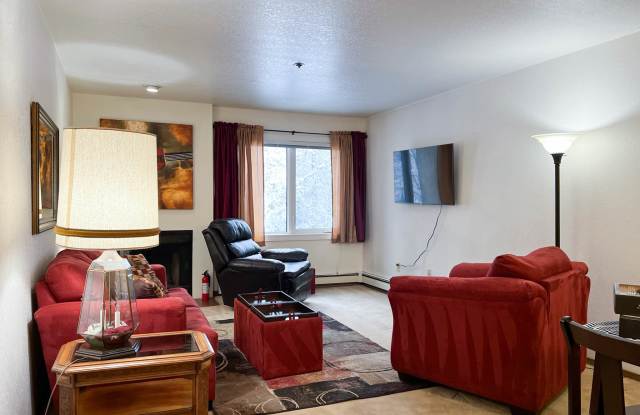 315 E 12th Ave #145 Gallery 2