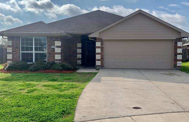 1204 Camden Yard - 1204 Camden Yard Drive, Fort Worth, TX 76028