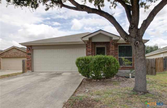 344 Ibis Falls Drive - 344 Ibis Falls Drive, New Braunfels, TX 78130