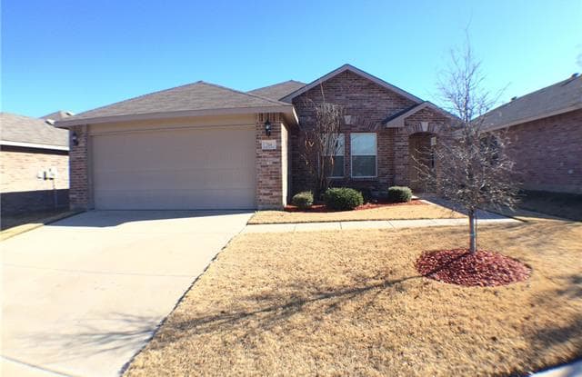 716 Becard Drive - 716 Becard Drive, Paloma Creek, TX 76227