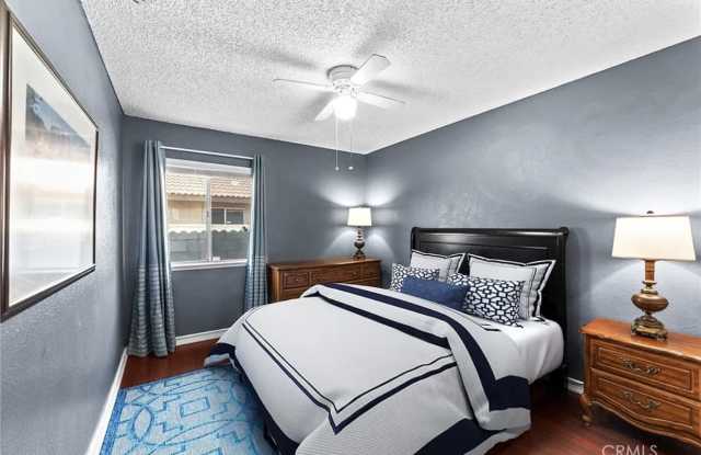 26337 Dracaea photos photos