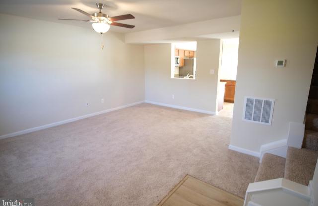 56 LOBLOLLY DR Gallery 3