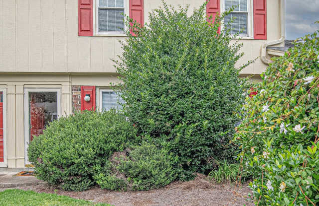 25 Scott Street - 25 Scott Street, Greenville, NC 27858