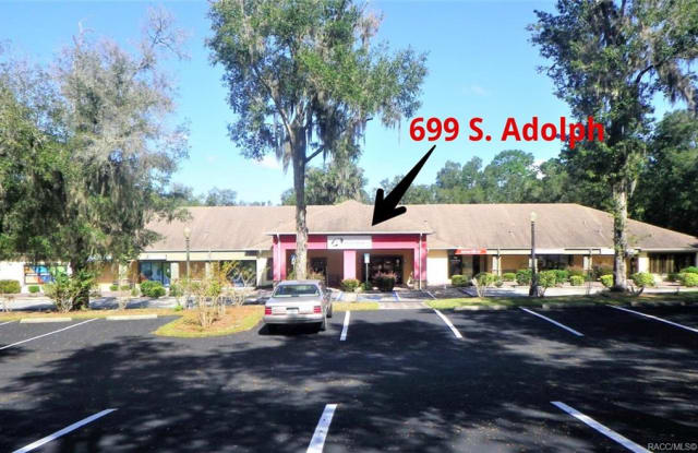699 S Adolph Point - 699 South Adolph Point, Lecanto, FL 34461