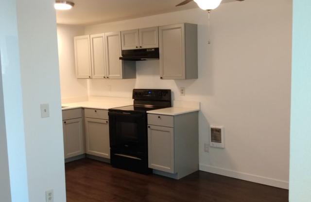 South Hill Apartments Gallery 2