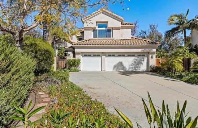 4976 Bella Collina Street photos photos