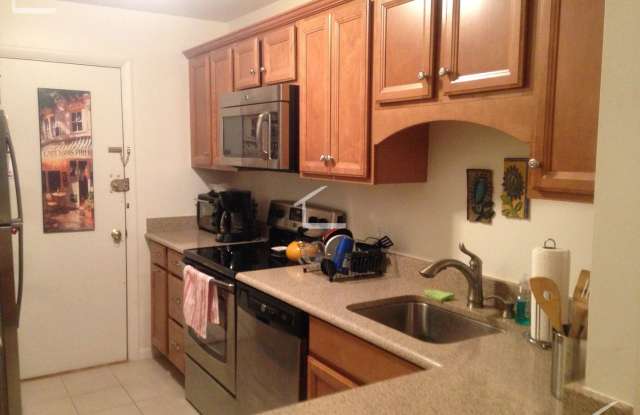 No Fee! Parking, Heat and Hot Water Included! Renovated, Sunny and Spacious!  Cat Friendly! Prime Location! photos photos