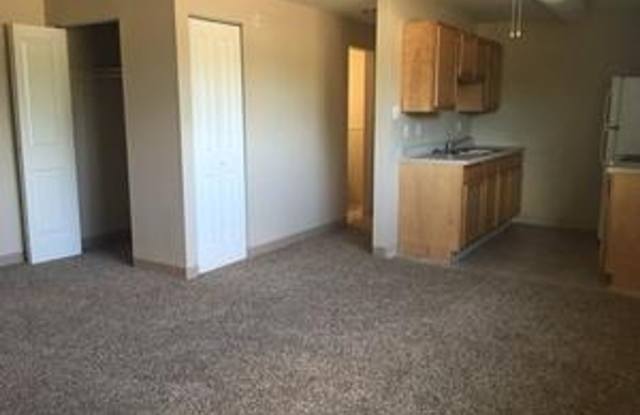 Aspen Leaf photos photos