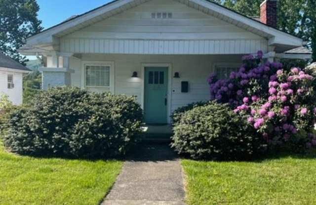 Wonderful Updated Classic Bungalow Walk or Bike to Med School, ETSU  Downtown Johnson City - 325 Highland Avenue, Johnson City, TN 37604