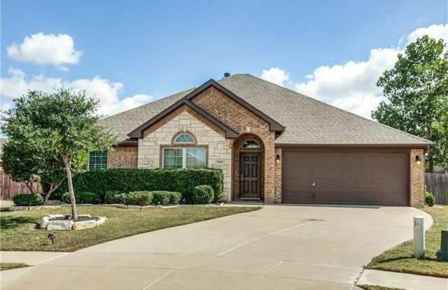 3965 Vista Greens Drive - 3965 Vista Greens Drive, Fort Worth, TX 76244