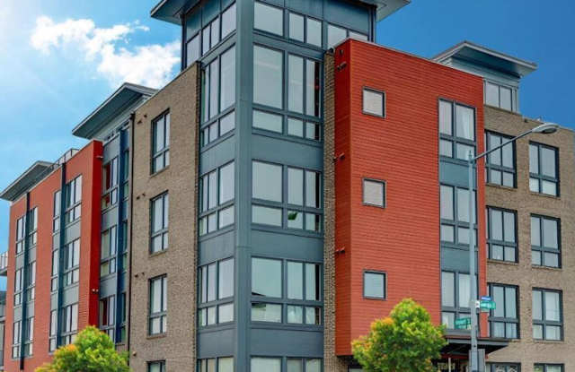 Georgia Avenue One Bedroom for Rent! Pets Welcomed! photos photos Georgia Avenue One Bedroom for Rent! Pets Welcomed! photos photos