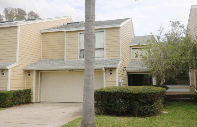 4119 Starfish Ln. - 4119 Starfish Lane, Town 'n' Country, FL 33615