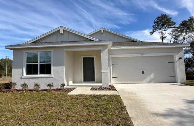 15951 Sw 24th Court Road - 15951 Southwest 24th Court Road, Marion County, FL 34473