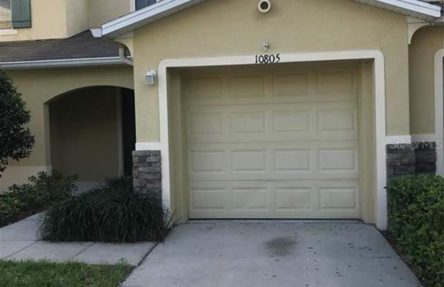 10805 JOHANNA AV - 10805 Johanna Avenue, Riverview, FL 33578