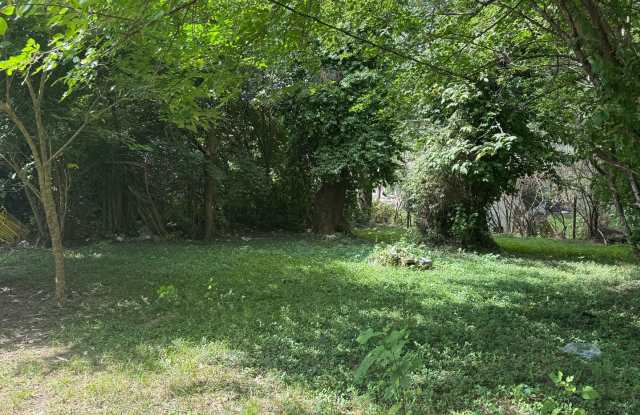 Newly Renovated Three Bed/One Bath Gallery 4