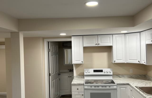 1 Bellevue Street - Basement - 1 Bellevue Street, Putnam, CT 06260