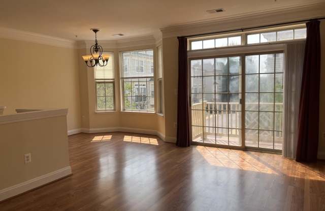 21156 DOMAIN TER Gallery 2