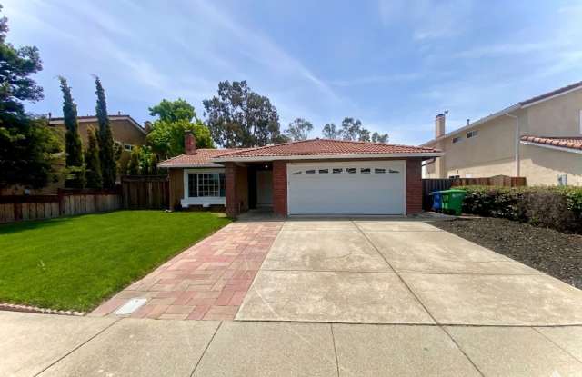 Bright Updated 4 Bedroom Home with Spacious Yard for Rent - Union City! photos photos