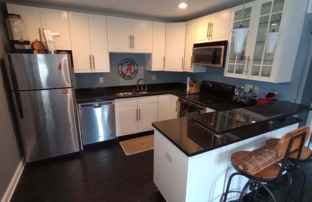 Furnished 1 Bedroom Condo on Campus Gallery 4