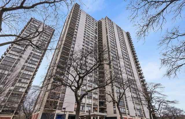 1360 N Sandburg Terrace unit: 2809C - 1360 North Sandburg Terrace, Chicago, IL 60610
