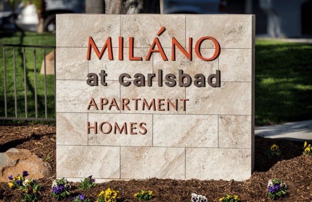 Elan Milano photos photos