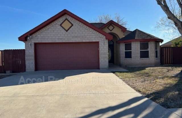 307 Tenaza photos photos