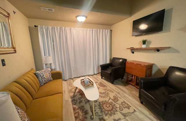 Furnished 2 bedroom 2 bath Condo - Apartment in a Gated Community,  Blue Eye, MO,  Near Branson, MO photos photos