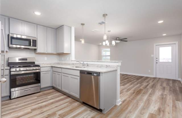 Brand New Townhome in Castroville - 340 Abigail Alley, Medina County, TX 78009