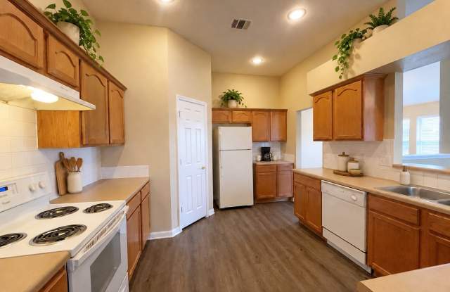 4803 Orchid Star Gallery 4