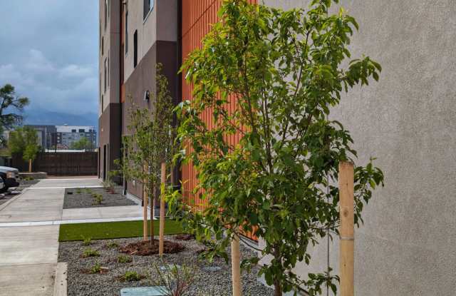 Artspace Colorado Spring Gallery 2