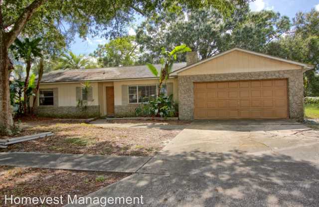 8910 Havasu Drive - 8910 Havasu Drive, Orange County, FL 32829
