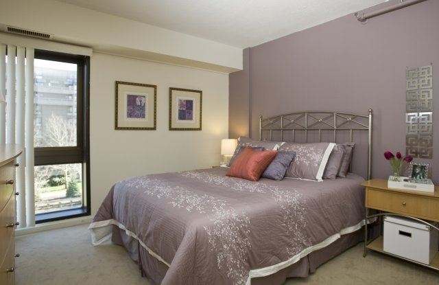 1 bdr Medford Gallery 2