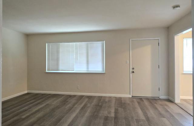 Spacious Downstairs Apartment, Fresh Paint, Quartz Counters, Stainless Steel Appliances, Pool, Parking! Gallery 3